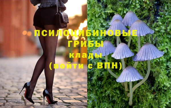 стафф Бронницы